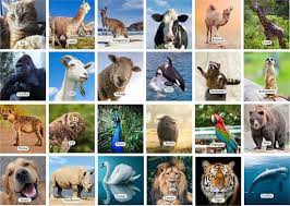Dieren memorie Logo